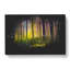 Forest Dreams - Wrapped Canvas-56645150