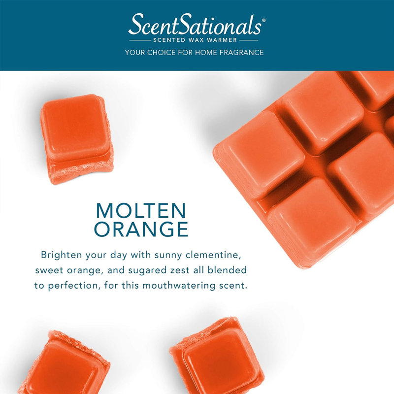 Collection de fond de cire ScentSationals 4PK, Orange fusionnée
