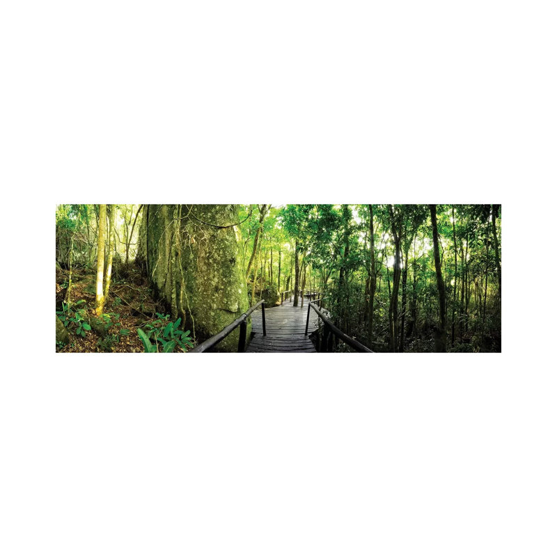Tropical Forest VI by Glauco Meneghelli - Wrapped Canvas Panoramic Print, 121.92 cm H x 40.64 cm W