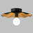 1-Light Semi-Flush Mount