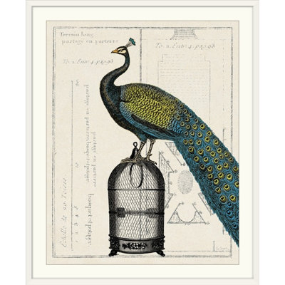 « ii » par sue schlabach, impression Peacock Birdcage