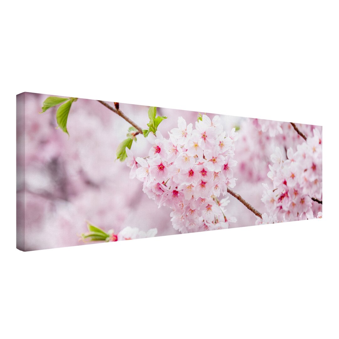 Leinwandbild Japanese Cherry Blossoms von Jan Becke