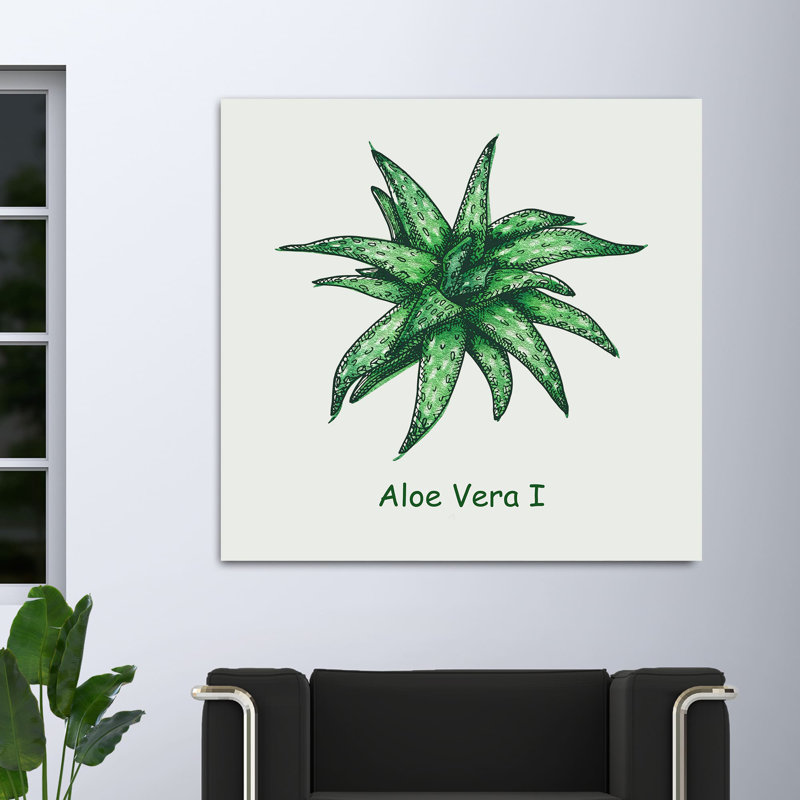 " Aloe Vera I ", 12" H x 12" W x 1.5" D