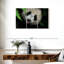 Panda Brampt Surprise-108079132