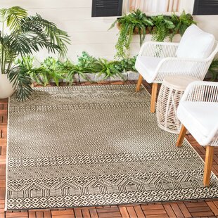 https://assets.wfcdn.com/im/36396597/resize-h310-w310%5Ecompr-r85/8287/82875116/arneshia-beige-black-indooroutdoor-rug.jpg