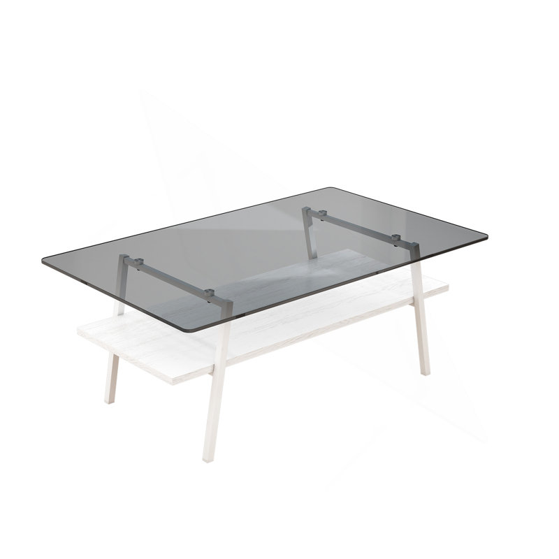 Table basse rectangulaire, plateau de table en verre trempé avec pieds en métal, Blanc, Grey