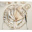 Nautilus Placemat in Champagne/Gold/White