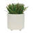 S/2 6/8" TEXTURED PLANTERS, SHINY-1086860947