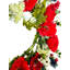 Couronne 24 po Poppy Salvia Daisy