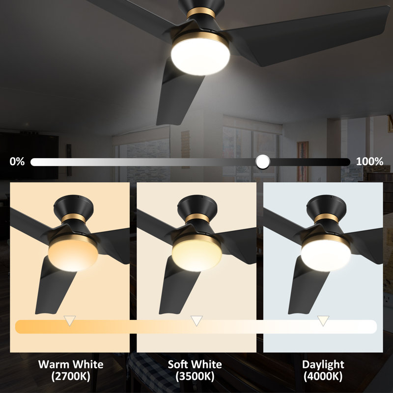 Emmly 52'' Ceiling Fan with LED Lights