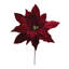 Tige de fleur de poinsettia scintillante-837632836-837632839