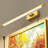 24" Plug-In Picture Light – 3000K Warm White Adjustable Wall Sconce with On/Off Switch, Brushed Gold for Artwork & Gallery Wall-737282099