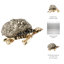 Figurine de tortue en métal avec coquille texturée pour bureau à domicile