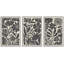 Abstrait botanique, art floral bohème noir et beige, photos murales de salon de style Mid-Century moderne, impression sur toile encadrée, 3 pièces, 16 po x 24 po x 3 pièces, 24 po x 36 po x 3 pièces, 20 po x 60 po x 3 pièces-119385104-90890072-90890073