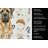 Fawn English Mastiff Coffee Bar Kitchen Towel-1168063275