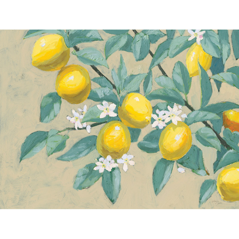 Branche de citron par Wellington Studio, H 18 po x l 24 po