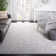 Calidia Oriental Light Gray Area Rug