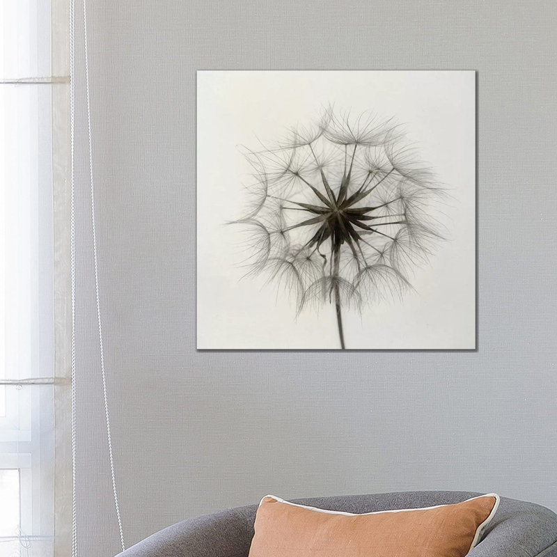 Tragopogon 1 Piece Wrapped Canvas Wall Art, 66.04 cm H x 66.04 cm W x 1.91 cm D
