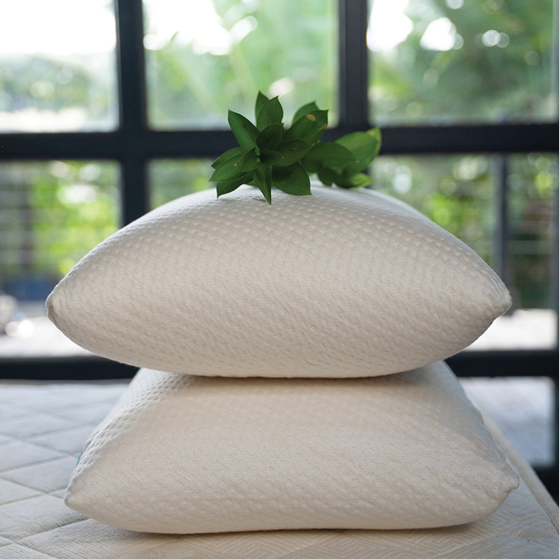 Sogni D’Oro Talalay Pillow, Queen, Medium