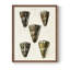 Cone Shell Collection, reproduction encadrée en V - bois massif-1320138491-1320138495