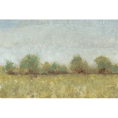 Spring Field I by Timothy O' Toole - Wrapped Canvas Print