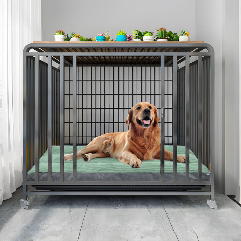 Tapis de lit pour chien antidérapant lavable, H 2,8 po x l 39,3 po x P 27,5 po, Vert