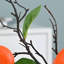 Ornements de fleurs simulées