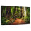 Lever de soleil au parc d'État Jedediah Redwoods