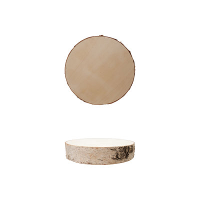 Large Wood Slice
