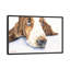 « basset v », impression sur toile-32498920-72121690-72121696