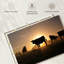 Silhouettes de vache-107673013