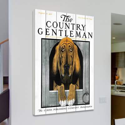" CG Dog 2 "