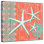 Corail de mer Aletra Indigo III
