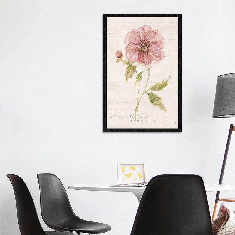 Soft Peony by Carol Robinson - Painting on Canvas, Black Framed, 101.6 cm H x 66.04 cm W