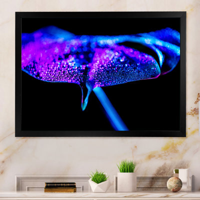 " Close Up Of Blue Tropical Water Leaf "