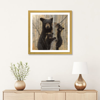 «Mama Black Bear» par Collin Bogle Print