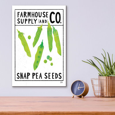'Kitchen Garden Seed Packet 2' by Melissa Averinos Acrylic Glass Wall Art
