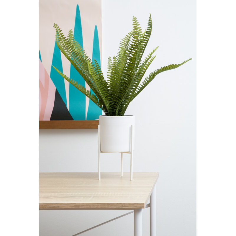 56cm Faux Fern Plant in Pot