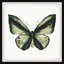 Jolis papillons - ensemble de 2 reproductions d'art encadrées-1907434640