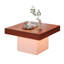 Sohna Coffee Table with Storage