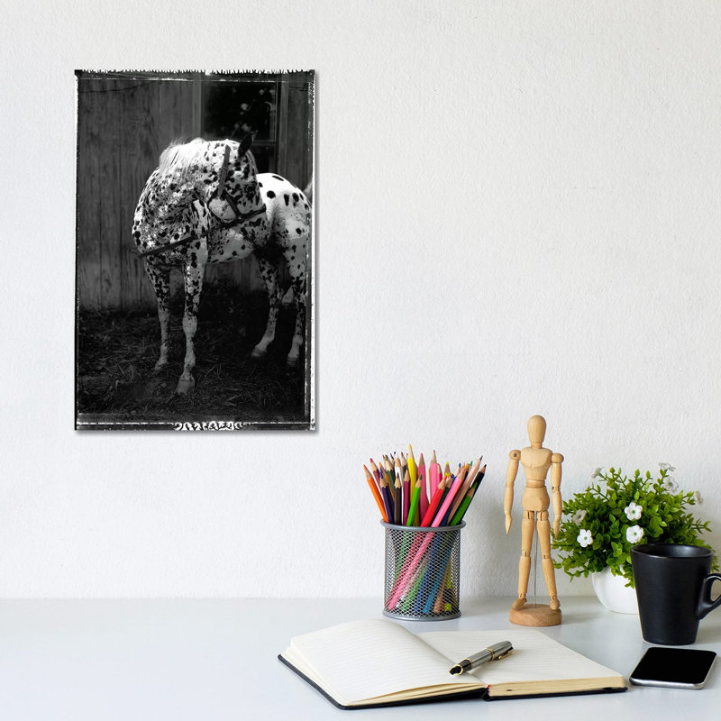 Print, Canvas, 20.32 cm H x 30.48 cm W