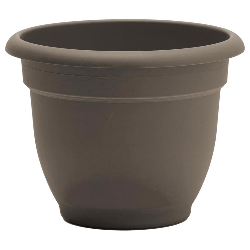  Ariana 13.75 in. H X 17.75 in. W X 16 in. D Plastic Traditional Planter Peppercorn, Peppercorn
