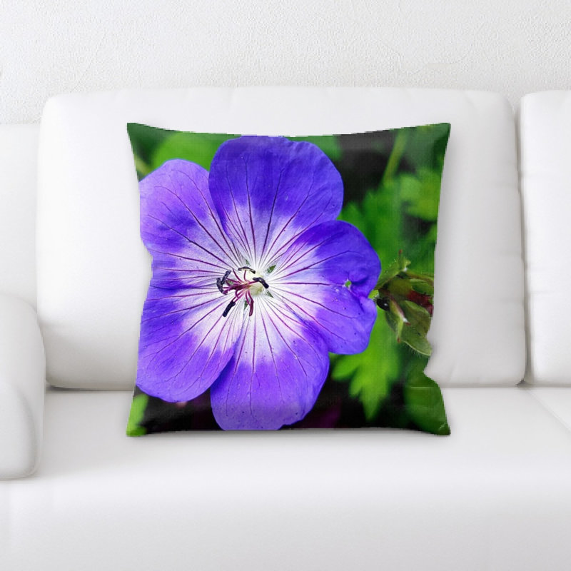 Coussin cranesbill