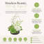 Organic Modern Arrangement with Orchids and Hydrangeas-988757372