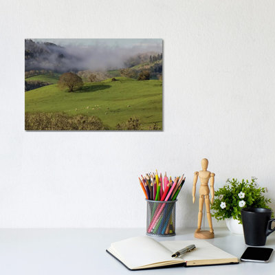 USA, Oregon, Whistler's Bend County Park. Overview Of Sheep In Pasture. by Jaynes Gallery - Wrapped Canvas Gallery-Wrapped Canvas Giclée