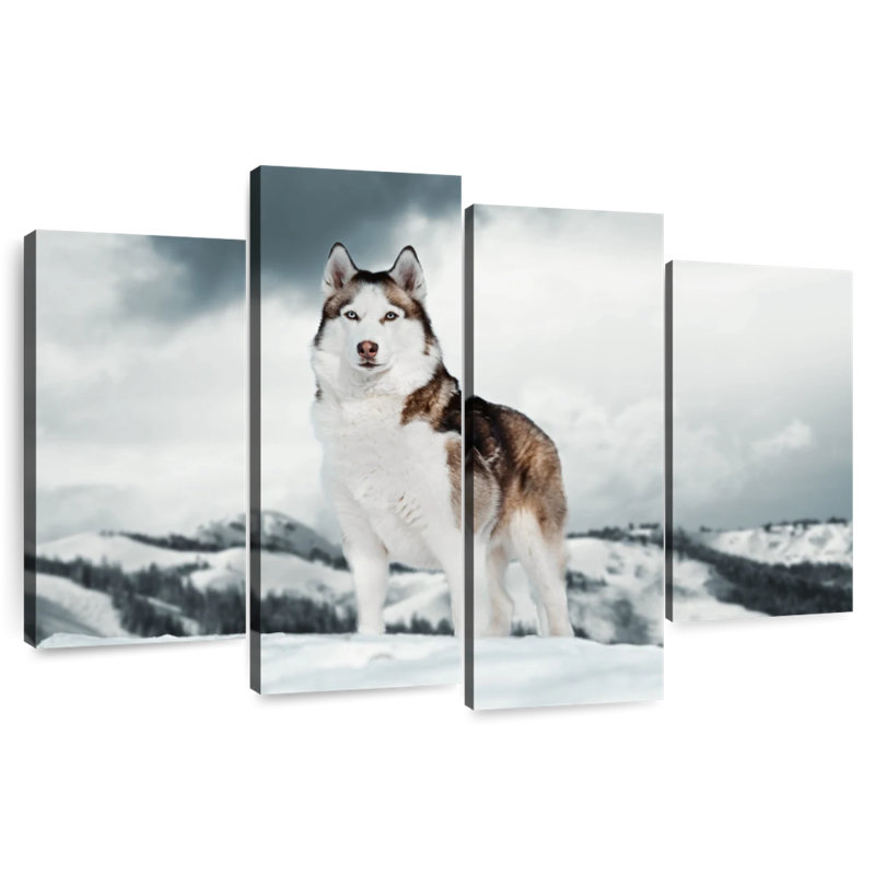 Husky sibérien majestueux Brampt, H 27 po x l 43 po