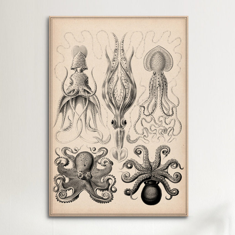 Cephalopod (gamochonia), impression sur toile, H 40 po x l 26 po x P 1,5 po, Pas de tapis, Toile tendue