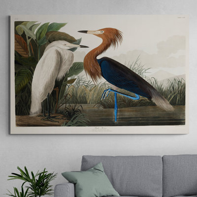 Purple Heron (1827) by John Audubon - 1 Piece Wrapped Canvas Wall Art