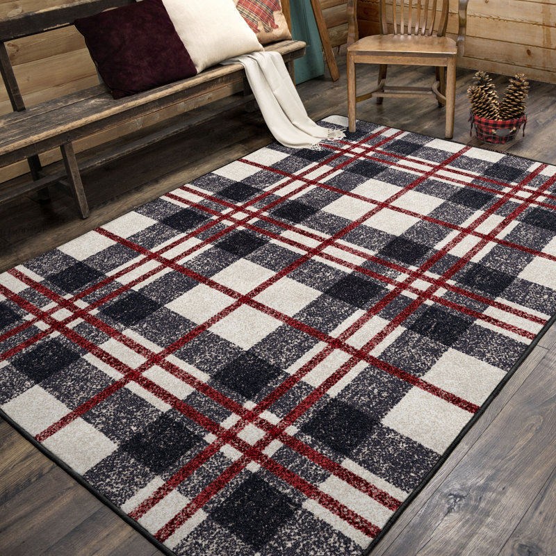 Indoor Rug, Rectangle 2'8" x 3'11"