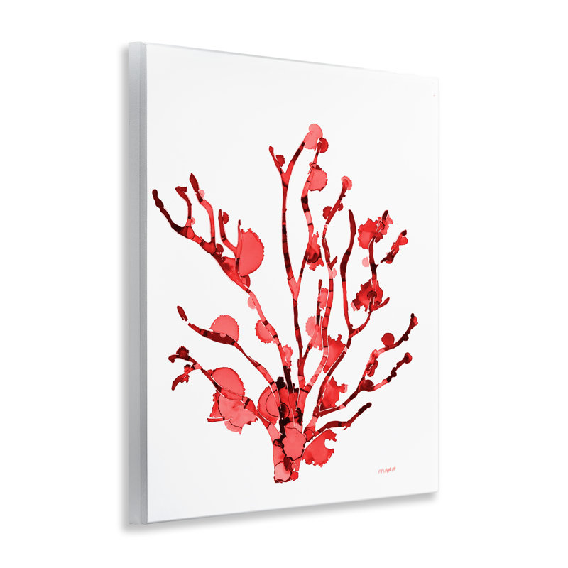  Coral With Splashes Wall Plaque Art by Patti Mann